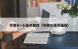 珠海可视化+小程序制作（可视化程序编程）